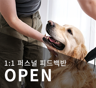 1:1 퍼스널 피드백반 오픈이벤트!!